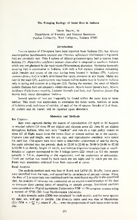 (PDF) The Foraging Ecology of Some Bats in Indiana