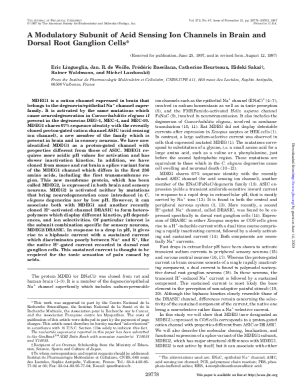 (PDF) A Modulatory Subunit of Acid Sensing Ion Channels in Brain and ...
