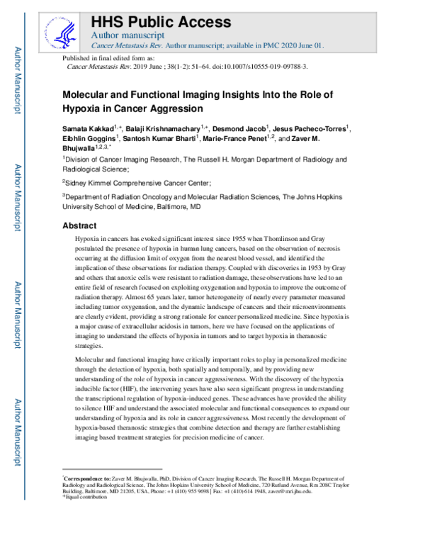 (PDF) Molecular and functional imaging insights into the role of ...