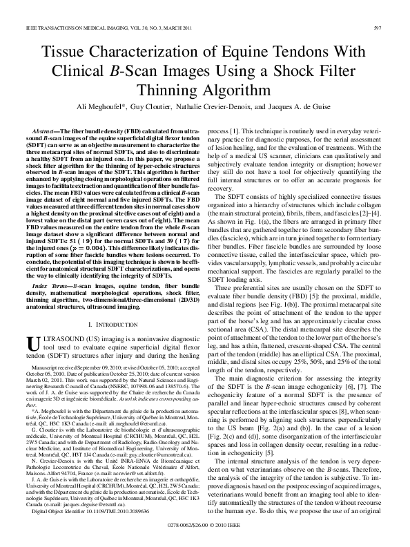 (PDF) Tissue Characterization of Equine Tendons With Clinical B-Scan ...