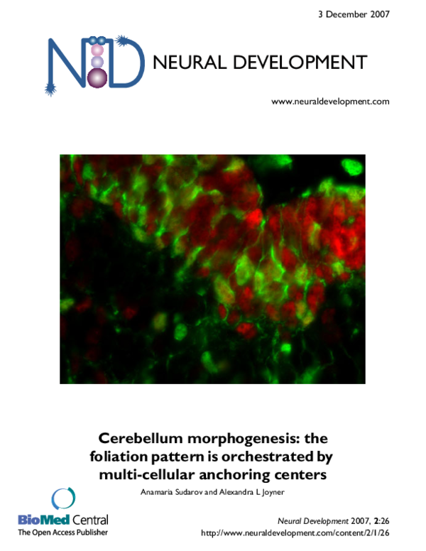 (PDF) Neural Development