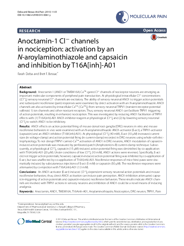 (PDF) Anoctamin-1 Cl− Channels in Nociception: Activation by an N ...