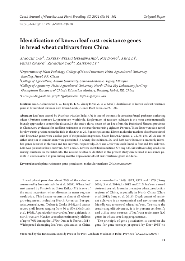 (PDF) Identification of known leaf rust resistance genes in bread wheat ...