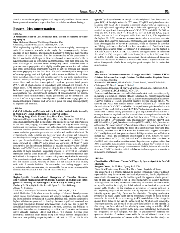 (PDF) Cell-Cell Adhesion and Myosin Activity Regulate Cortical Actin ...
