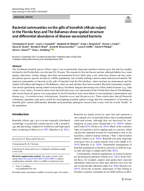 (PDF) Bacterial communities on the gills of bonefish (Albula vulpes) in ...