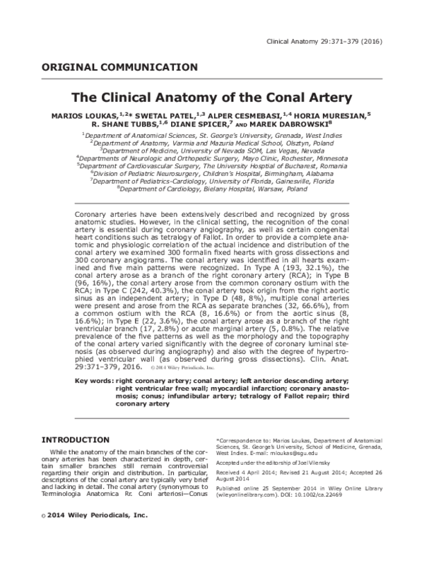 (PDF) The clinical anatomy of the conal artery