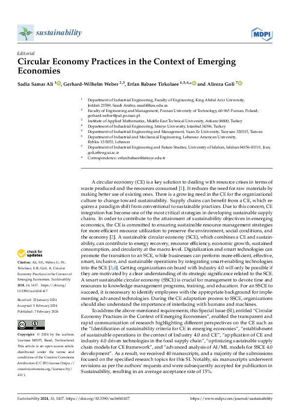 (PDF) Circular Economy Practices in the Context of Emerging Economies