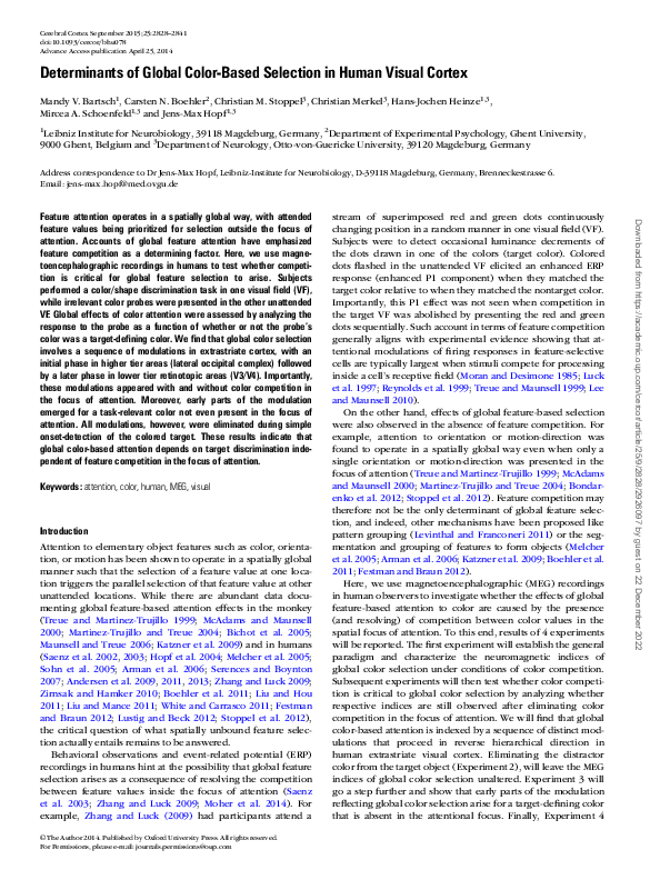 (PDF) Determinants of Global Color-Based Selection in Human Visual Cortex