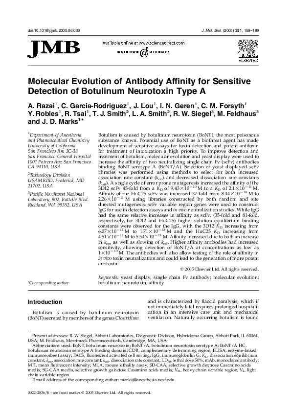 (PDF) Molecular Evolution of Antibody Affinity for Sensitive Detection ...
