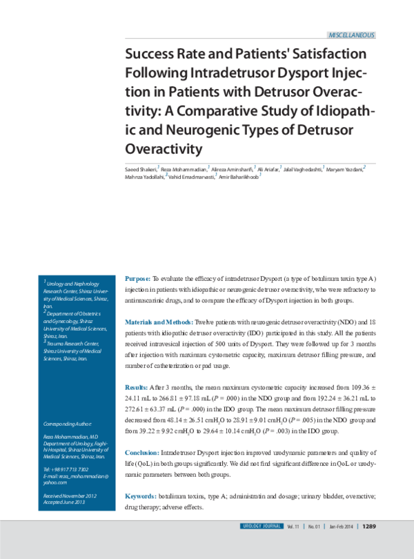 (PDF) Success rate and patients' satisfaction following intradetrusor ...