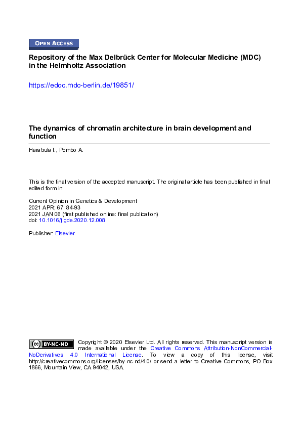 (PDF) The dynamics of chromatin architecture in brain development and ...