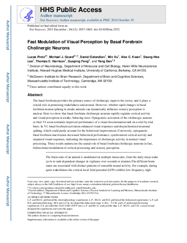 (PDF) Fast modulation of visual perception by basal forebrain ...