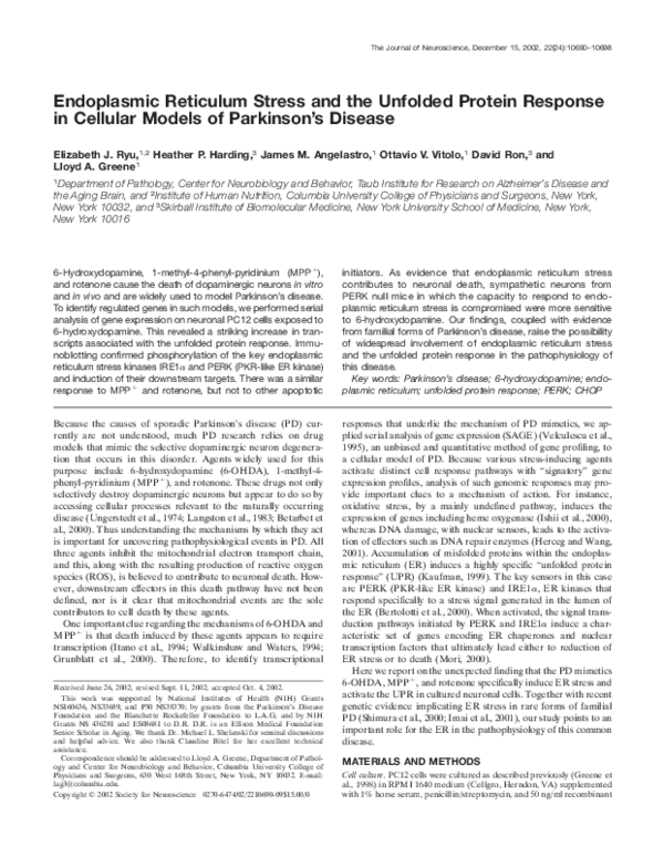 (PDF) Endoplasmic Reticulum Stress and the Unfolded Protein Response in ...