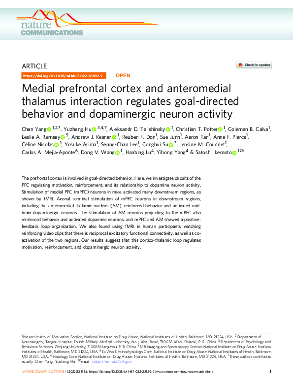 (PDF) Medial prefrontal cortex and anteromedial thalamus interaction ...