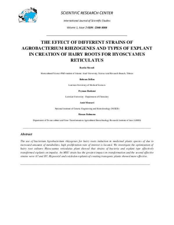 (PDF) The Effect of Different Strains of Agrobacterium Rhizogenes and ...
