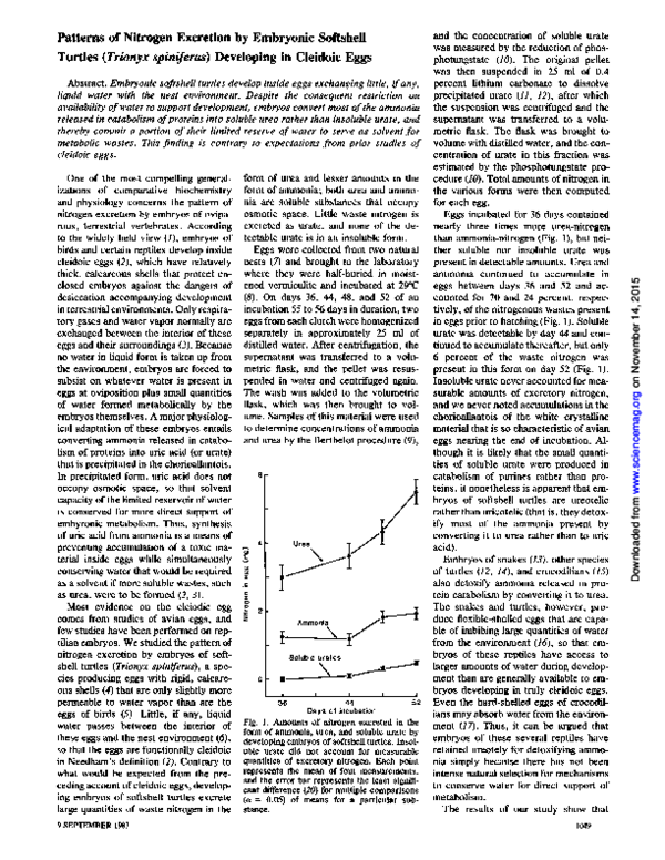 (PDF) Patterns of nitrogen excretion by embryonic softshell turtles ...