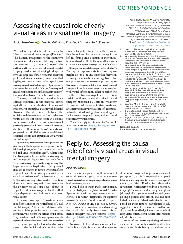 (PDF) Assessing the causal role of early visual areas in visual mental ...
