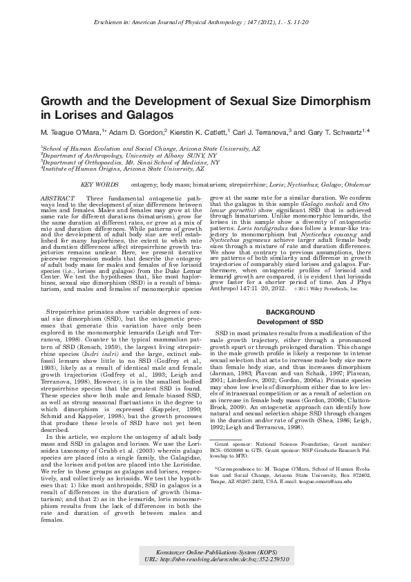 (PDF) Growth and the development of sexual size dimorphism in lorises ...