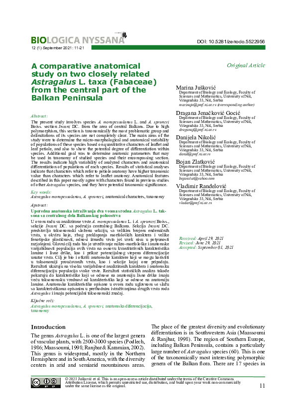 (PDF) A comparative anatomical study on two closely related Astragalus ...