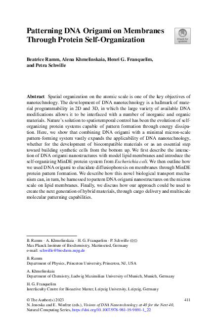 (PDF) Patterning DNA Origami on Membranes Through Protein Self-Organization
