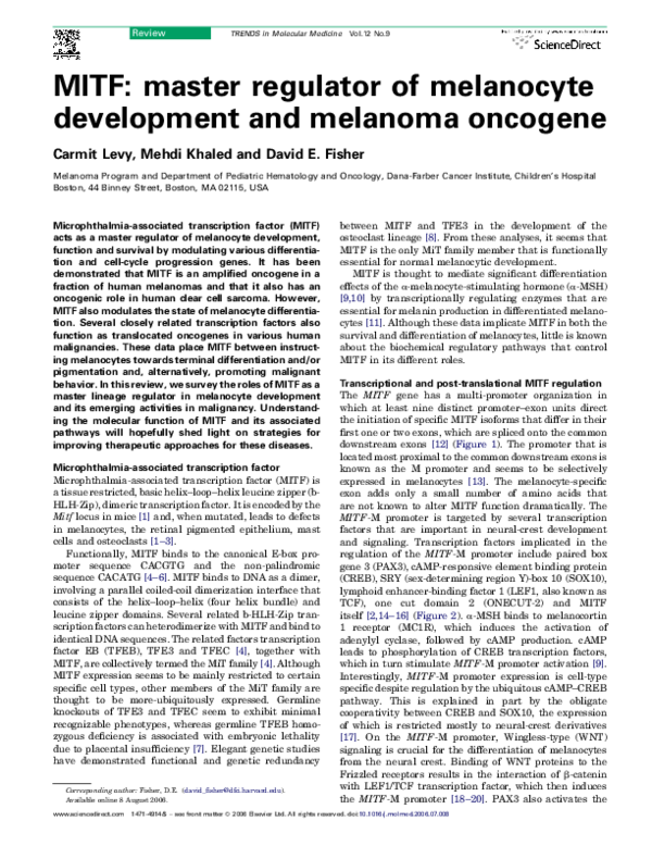 (PDF) MITF: master regulator of melanocyte development and melanoma ...