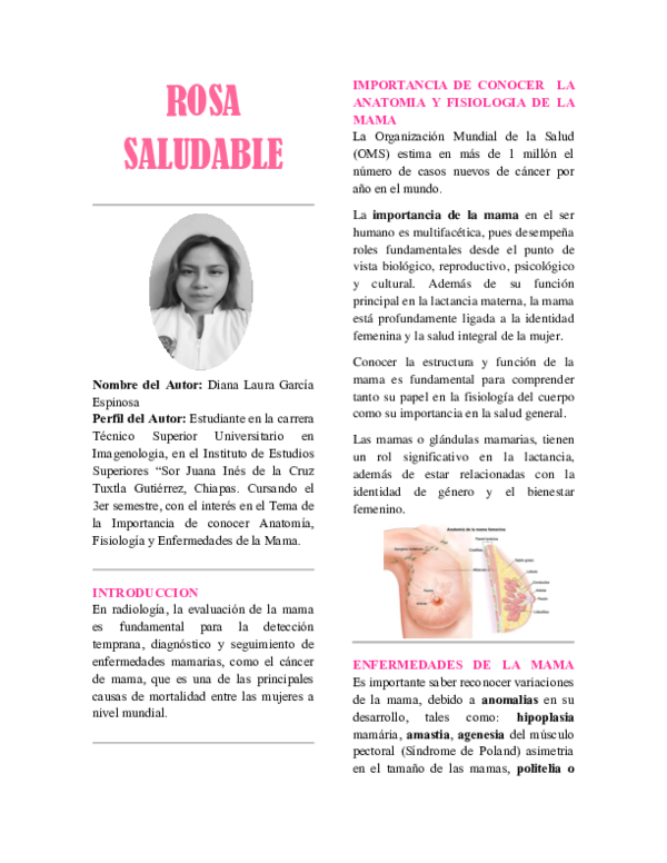 (PDF) ROSA SALUDABLE