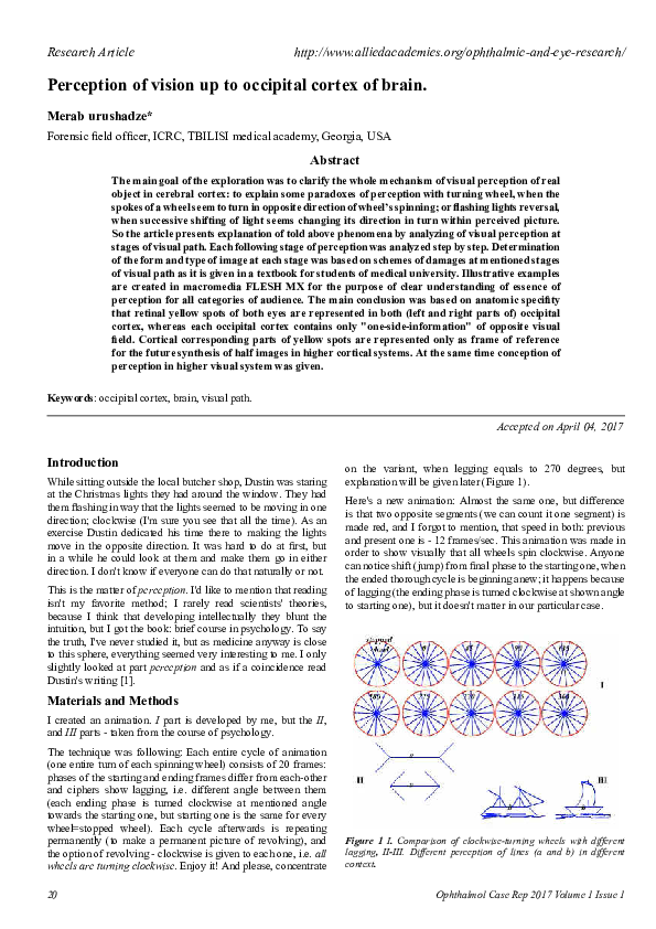 (PDF) Perception of vision up to occipital cortex of brain