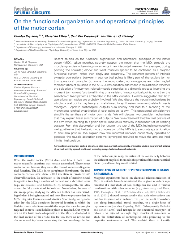 (PDF) On the functional organization and operational principles of the ...