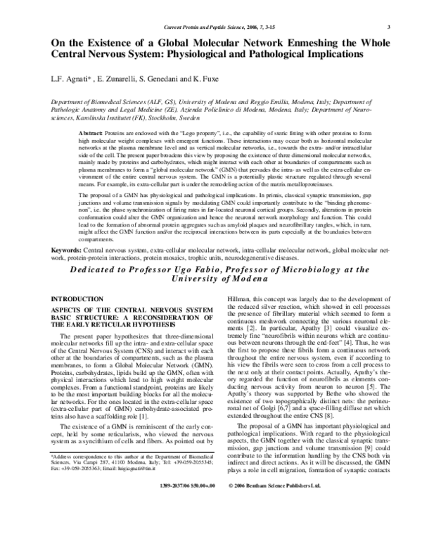 (PDF) On the Existence of a Global Molecular Network Enmeshing the ...