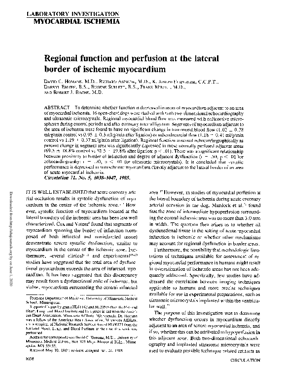 (PDF) Regional function and perfusion at the lateral border of ischemic ...