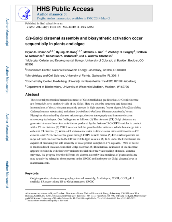 (PDF) Cis -Golgi Cisternal Assembly and Biosynthetic Activation Occur ...