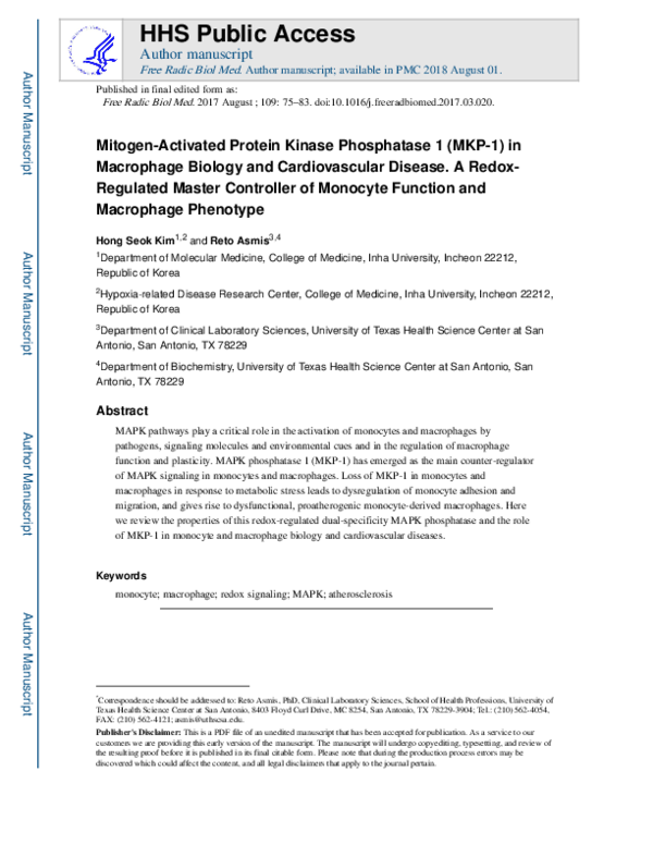 (PDF) Mitogen-activated protein kinase phosphatase 1 (MKP-1) in ...