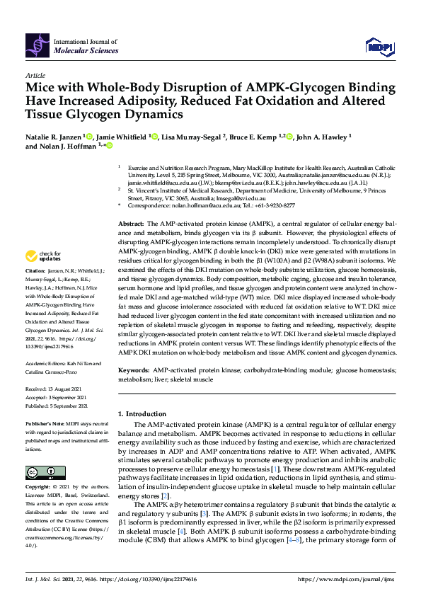 (PDF) Mice with Whole-Body Disruption of AMPK-Glycogen Binding Have ...