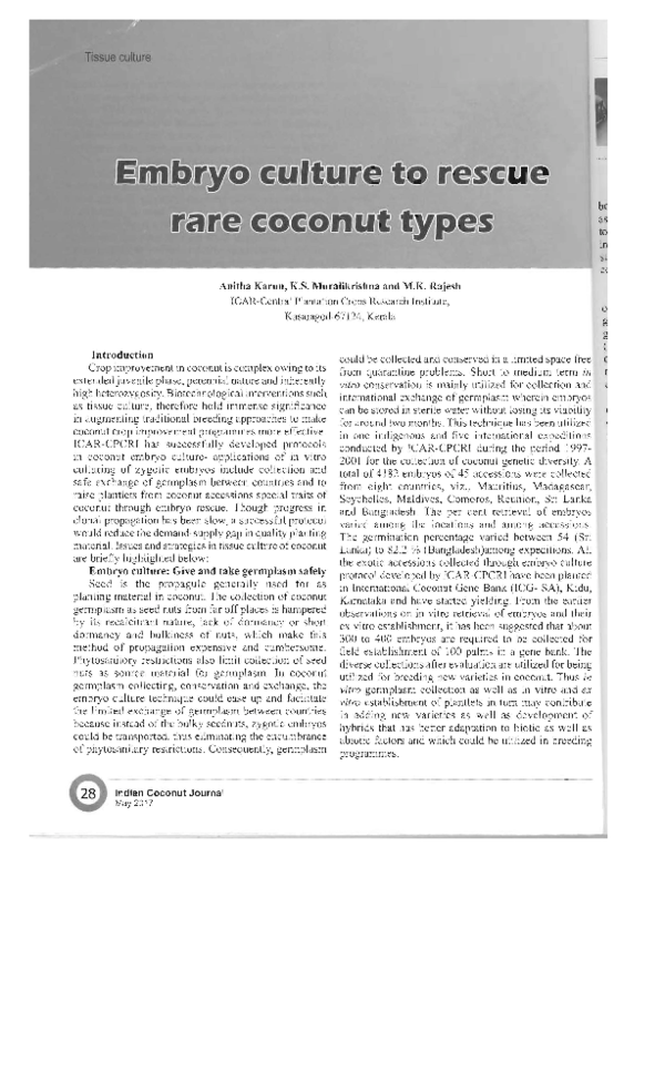 (PDF) Embryo culture to rescue rare coconut types