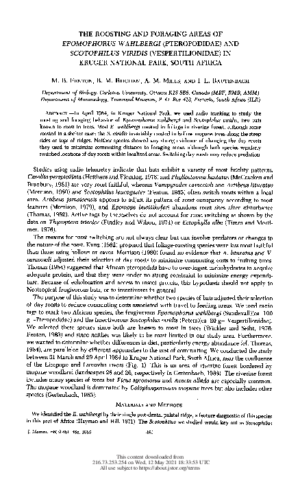 (PDF) The Roosting and Foraging Areas of Epomophorus wahlbergi ...