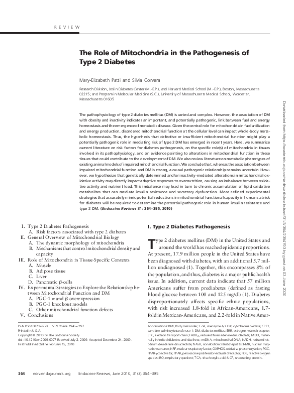 (PDF) The Role of Mitochondria in the Pathogenesis of Type 2 Diabetes