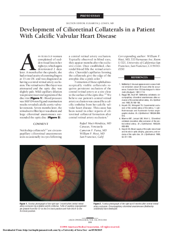 (PDF) Development of Cilioretinal Collaterals in a Patient With ...