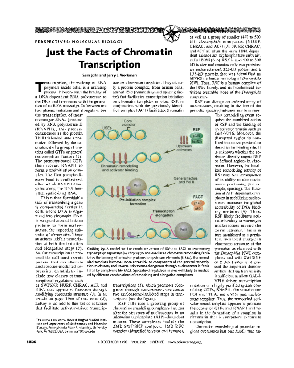 (PDF) MOLECULAR BIOLOGY:Just the Facts of Chromatin Transcription
