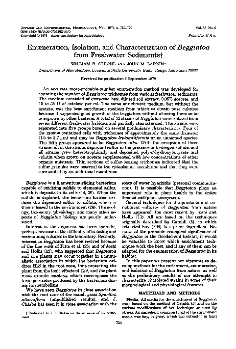 (PDF) Enumeration, Isolation, and Characterization of Beggiatoa from ...
