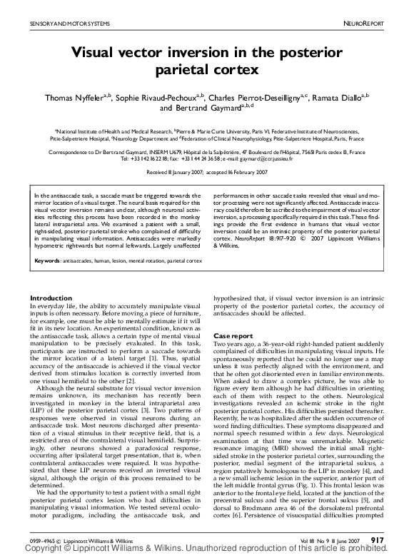 (PDF) Visual vector inversion in the posterior parietal cortex