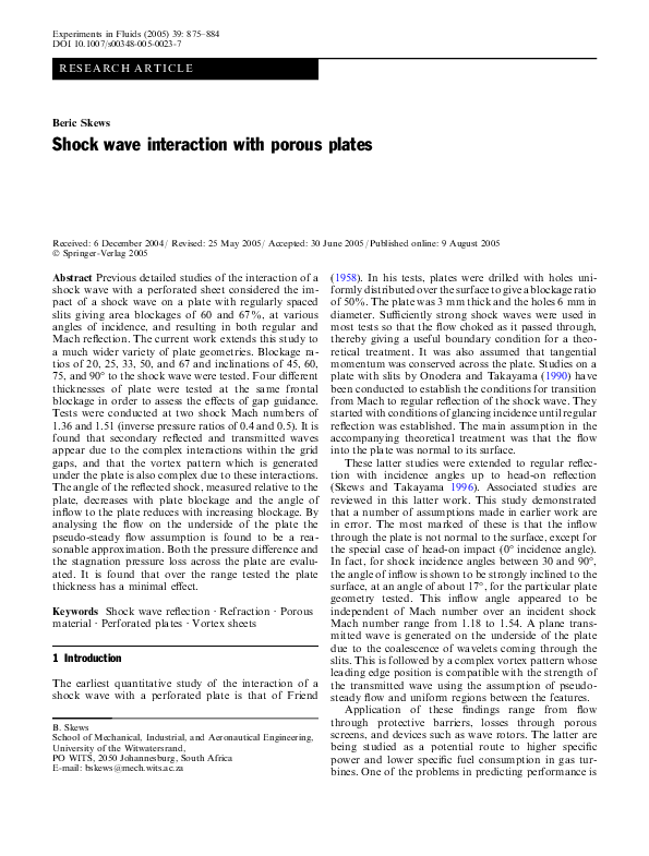 (PDF) Shock wave interaction with porous plates