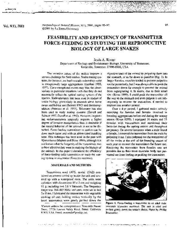 Gallery image with a fresh perspective