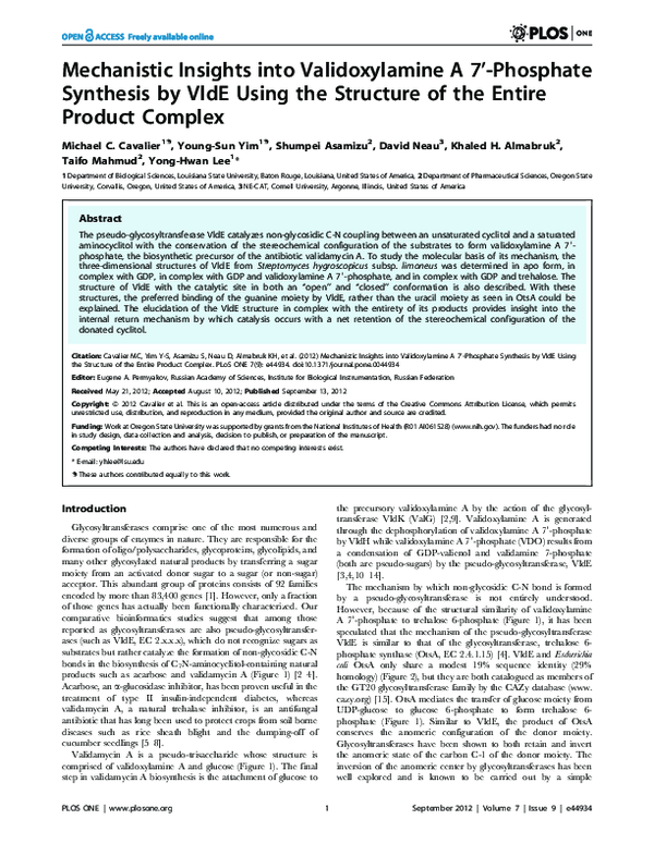(PDF) Mechanistic Insights into Validoxylamine A 7'-Phosphate Synthesis ...