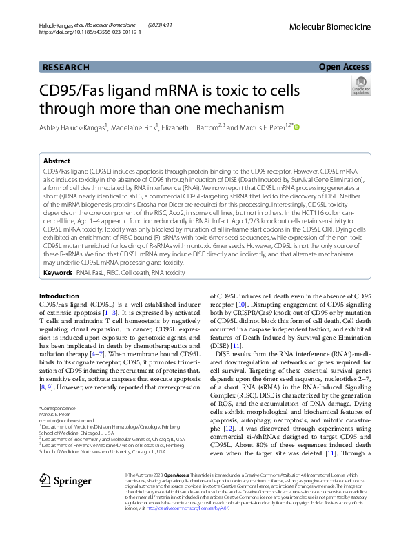 (PDF) CD95/Fas ligand mRNA is toxic to cells through more than one ...