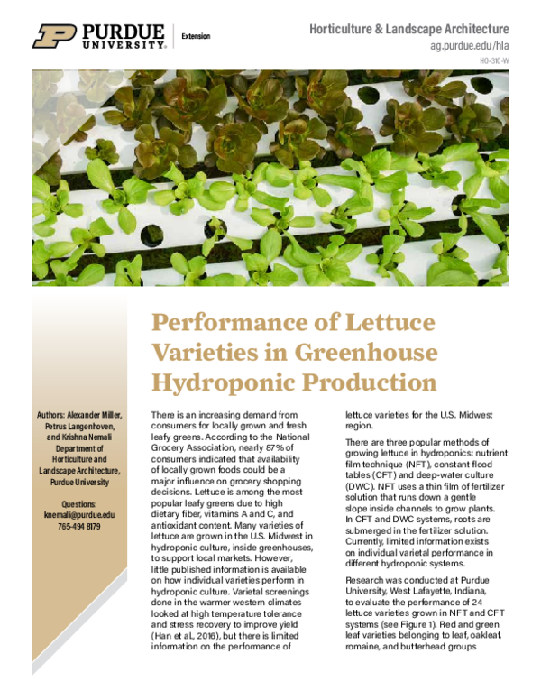 (PDF) Performance of Lettuce Varieties in Greenhouse Hydroponic Production