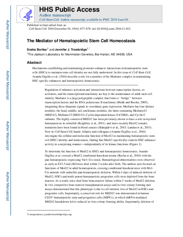 (PDF) The Mediator of Hematopoietic Stem Cell Homeostasis