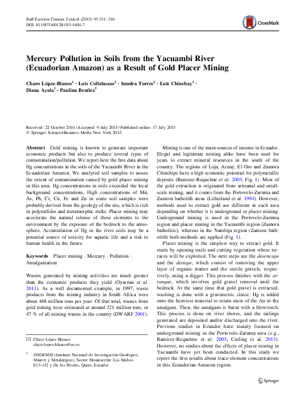 (PDF) Mercury Pollution in Soils from the Yacuambi River (Ecuadorian ...