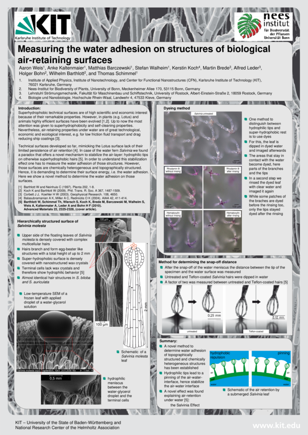 (PDF) Measuring the water adhesion on structures of biological air ...