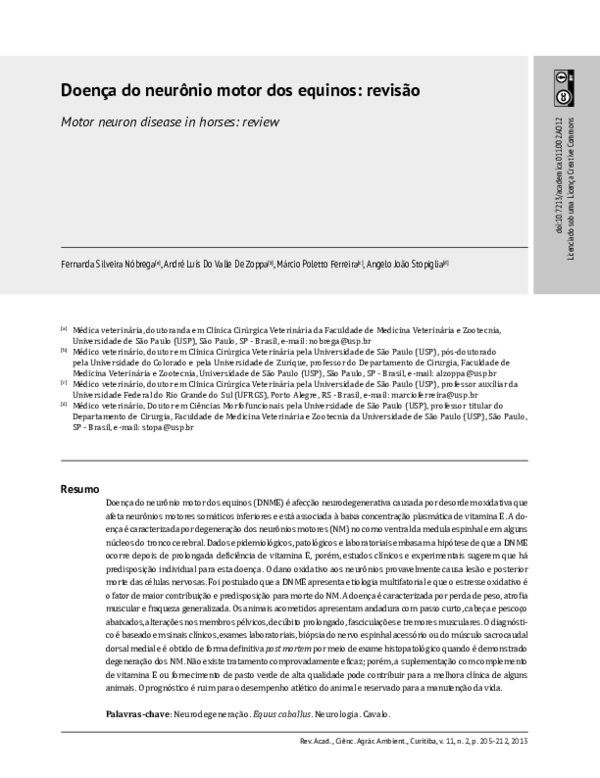 (PDF) DOENÇA DO NEURÔNIO MOTOR DOS EQUINOS: REVISÃO Motor neuron ...