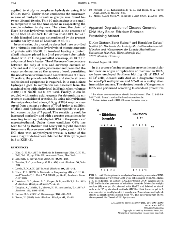 (PDF) Apparent Degradation of Cleaved Genomic DNA May Be an Ethidium ...